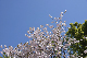 image0303