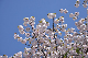 image0304