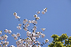 image0305