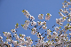 image0307