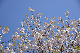 image0308