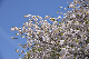 image0310