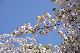 image0311
