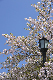 image0314