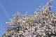 image0316