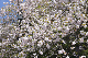 image0317