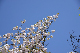 image0318