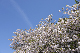 image0319