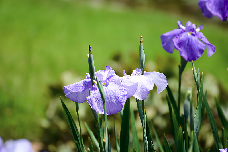 image0159