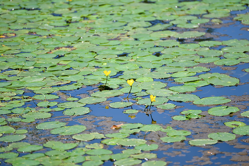 image0226