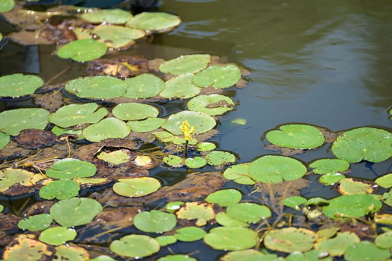 image0250