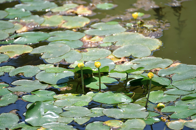 image0260