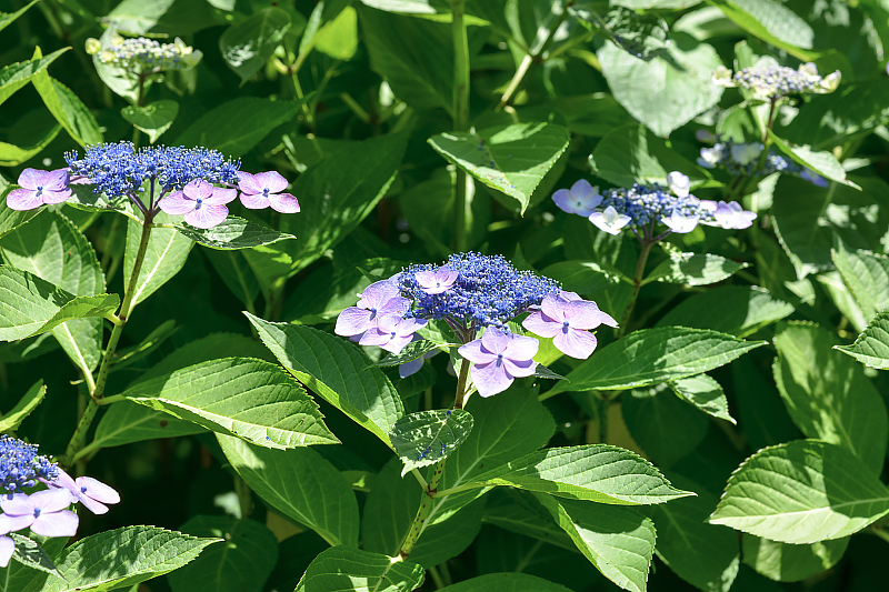 image0300