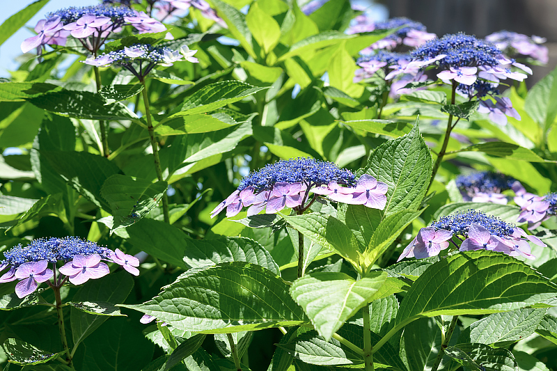 image0302