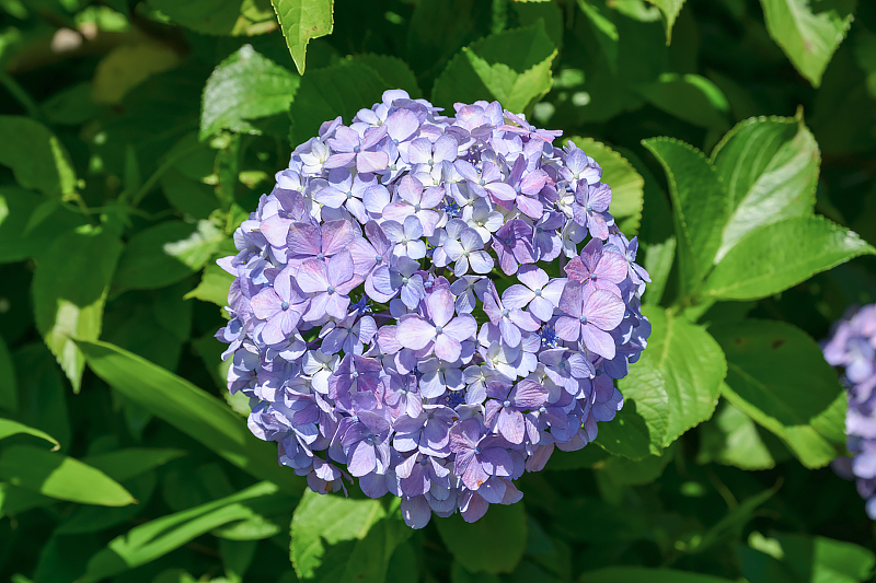 image0306