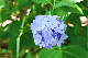image0322