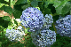 image0324
