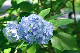image0325