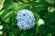 image0326