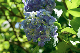 image0329