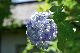image0330