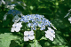 image0331