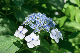 image0332