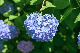 image0335