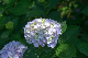 image0336