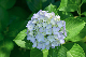 image0339