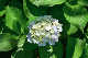 image0340