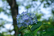 image0343