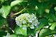 image0344