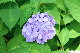 image0347