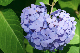 image0350