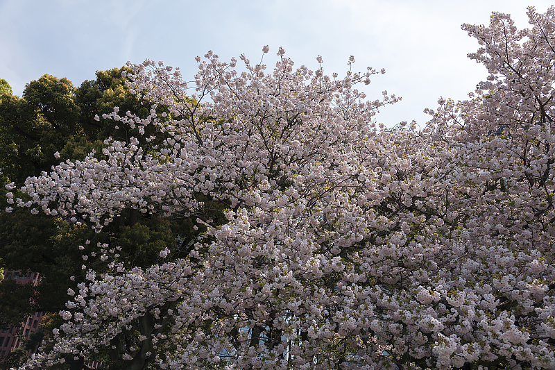 image0000