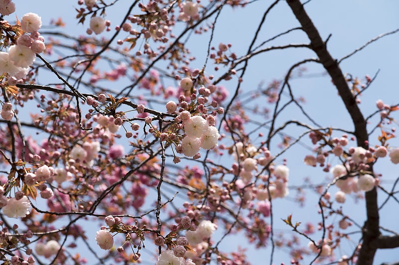 image0100