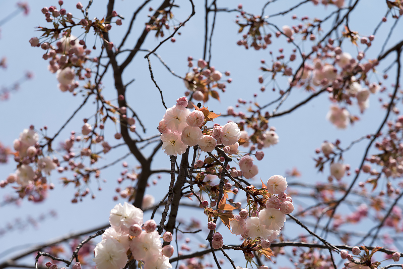 image0101