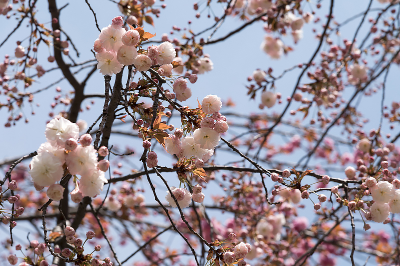image0102