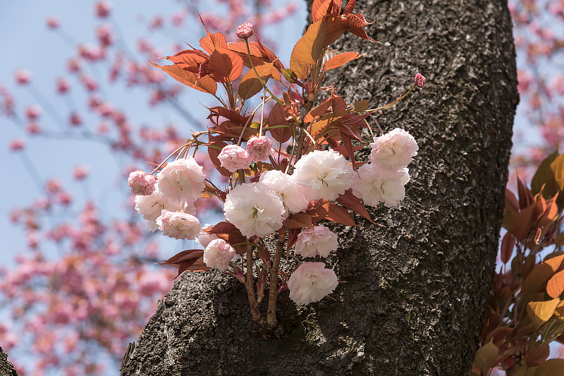 image0124