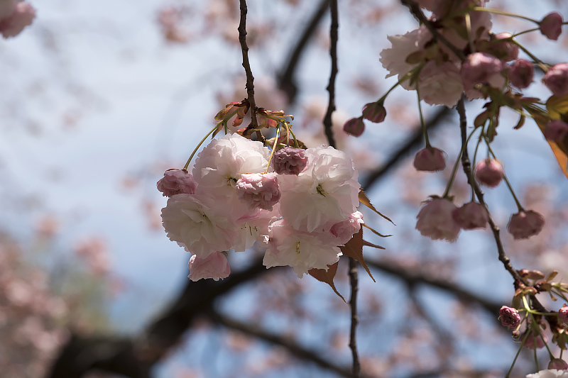 image0125