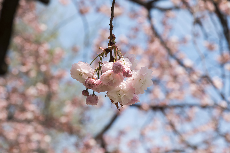 image0126