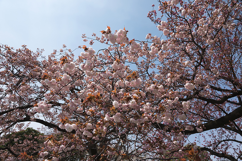 image0127