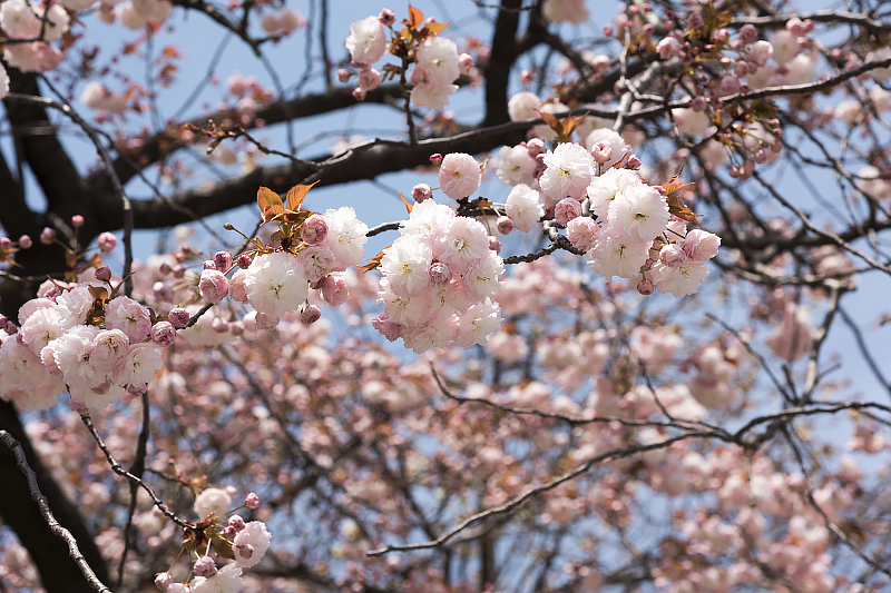 image0135