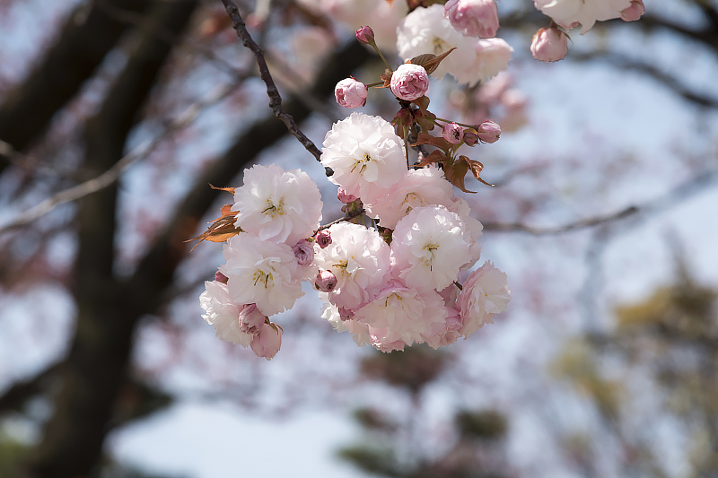 image0147