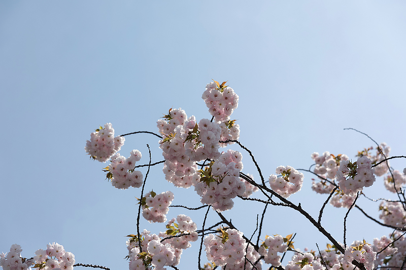 image0156