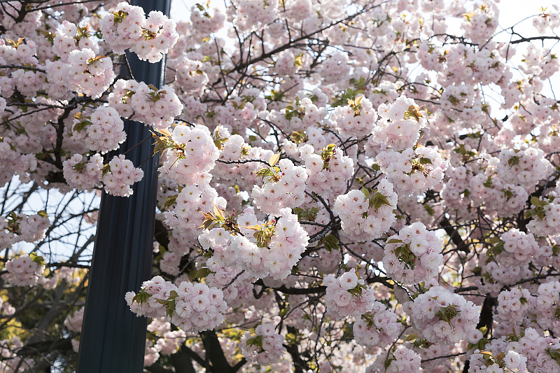 image0158