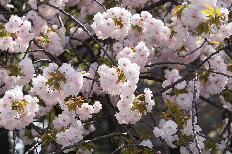 image0166
