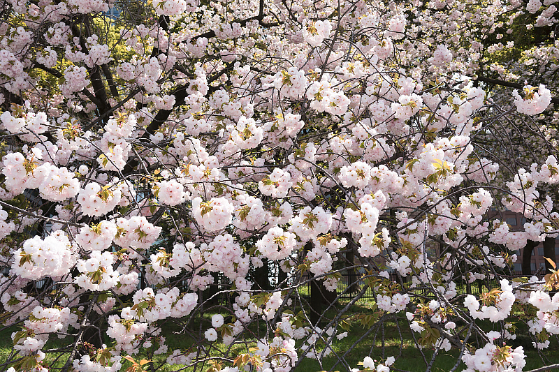 image0167