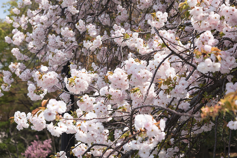 image0170